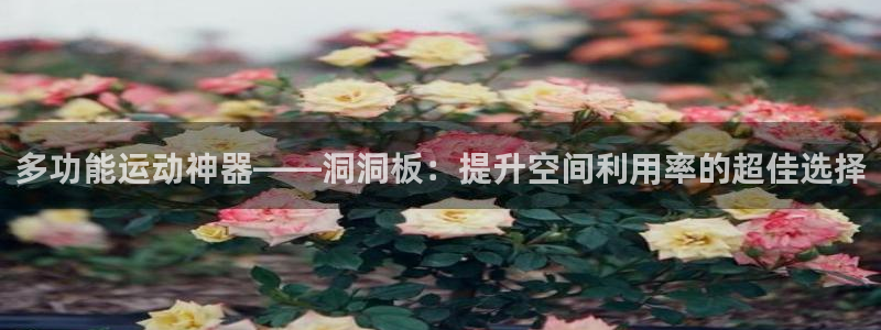 BWIN体育官网下载招商电话号码是多少号：多功能运动神器——