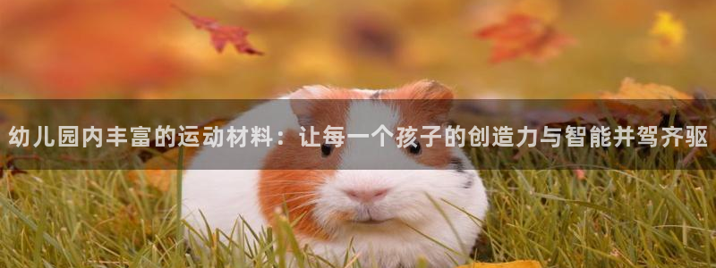 BWIN体育官网下载平台假的吗是真的吗：幼儿园内丰富的运动材