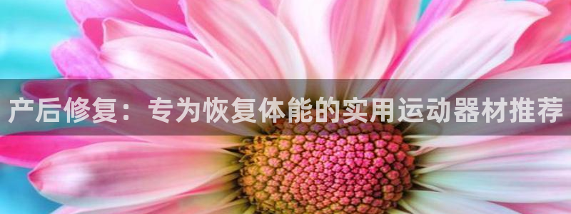BWIN体育官方正版app集团