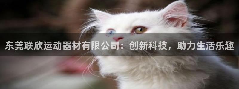 BWIN体育官网下载招商电话地址是多少：东莞联欣运动器材有限