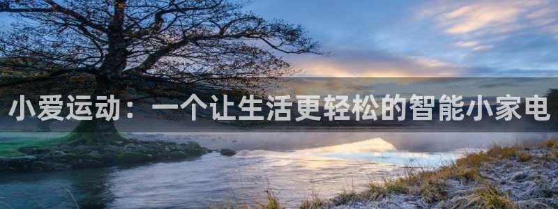 BWIN体育官网下载软件：小爱运动：一个让生活更轻松的智能小