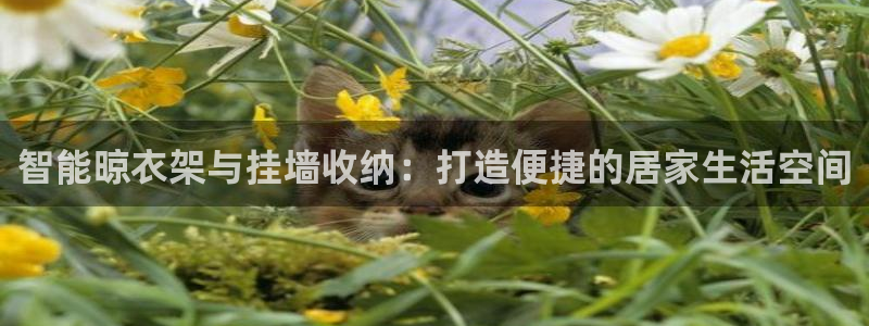 BWIN体育官网下载注册：智能晾衣架与挂墙收纳：打造