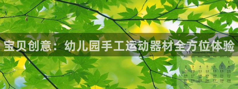 BWIN体育官网下载注册：宝贝创意：幼儿园手工运动器