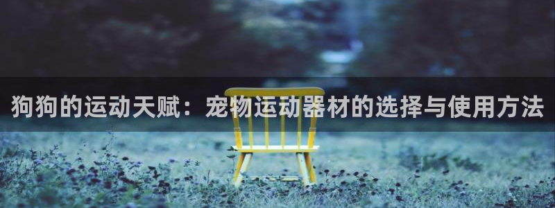 BWIN体育官网下载联系电话：狗狗的运动天赋：宠物运