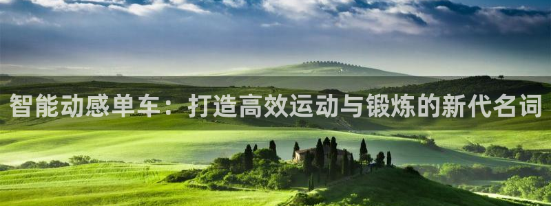 BWIN体育官网下载软件：智能动感单车：打造高效运动与锻炼的