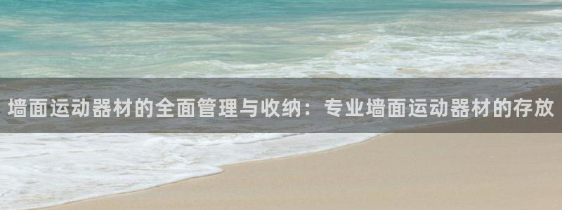 BWIN体育官方正版app五金厂：墙面运动器材的全面