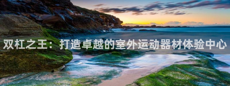 BWIN体育官方正版app五金厂：双杠之王：打造卓越的室外运