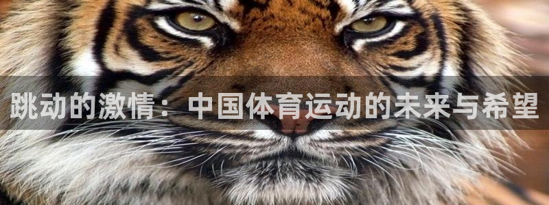 77体育：跳动的激情：中国体育运动的未来与希望