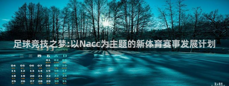 77体育app下载官网：足球竞技之梦:以Nacc为主题的新体育赛事发展计划