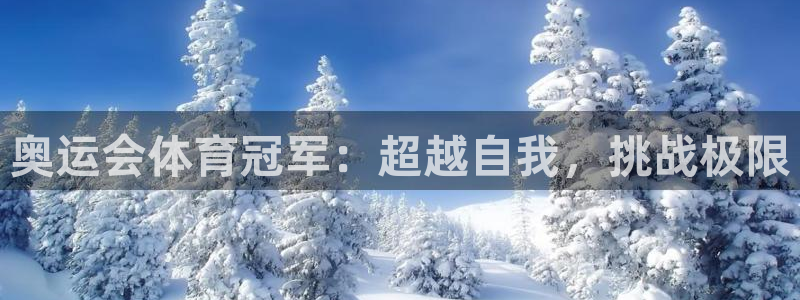 77体育app下载官网：奥运会体育冠军：超越自我，挑战极限