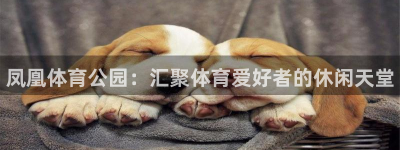 77体育：凤凰体育公园：汇聚体育爱好者的休闲天堂