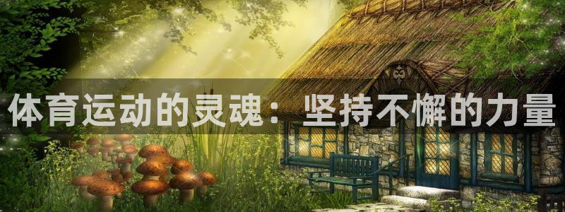 77体育：体育运动的灵魂：坚持不懈的力量