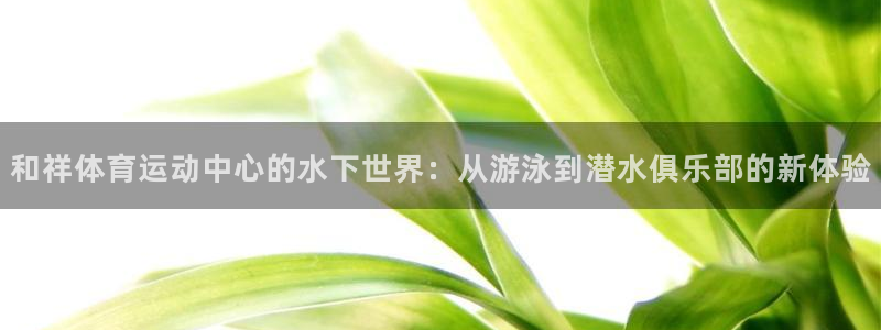 77体育：和祥体育运动中心的水下世界：从游泳到潜水俱乐部的新体验