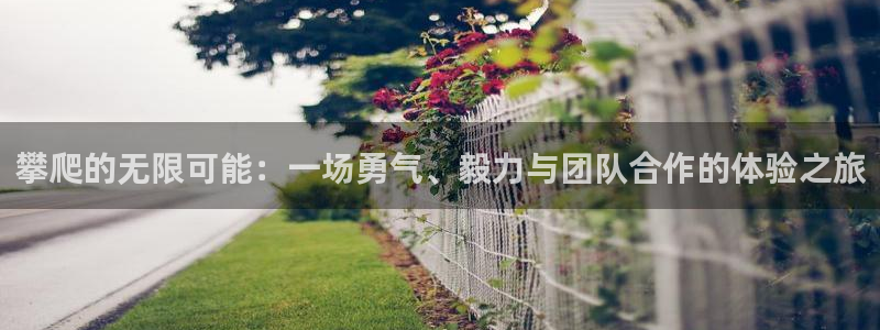 77体育app下载官网：攀爬的无限可能：一场勇气、毅力与团队合作的体验之旅