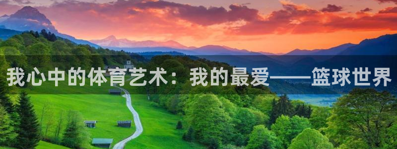 77体育app下载官网：我心中的体育艺术：我的最爱——篮球世界