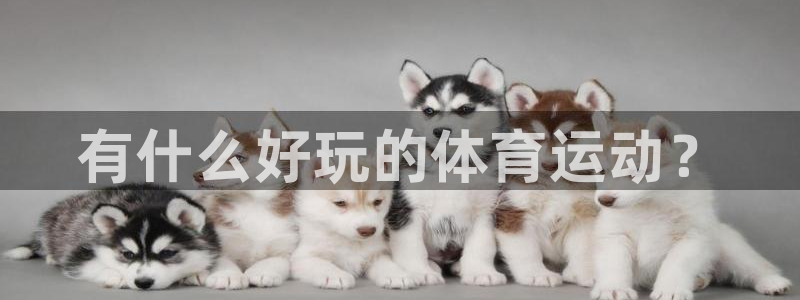有什么好玩的体育运动？