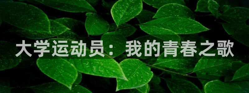 77体育：大学运动员：我的青春之歌