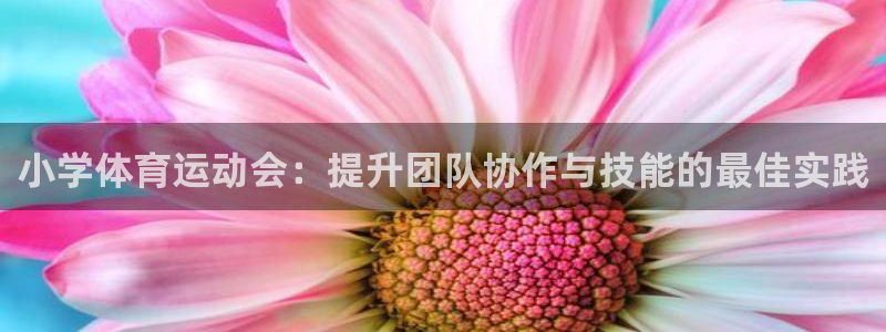 77体育官网：小学体育运动会：提升团队协作与技能的最佳实践