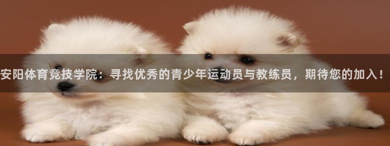 77体育app下载官网：安阳体育竞技学院：寻找优秀的青少年运动员与教练员，期待您的加入！