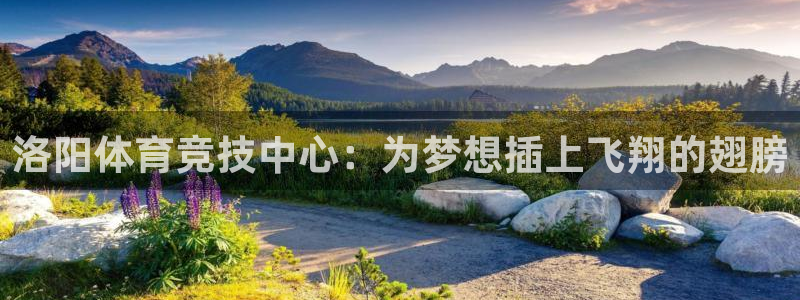 77体育app下载官网